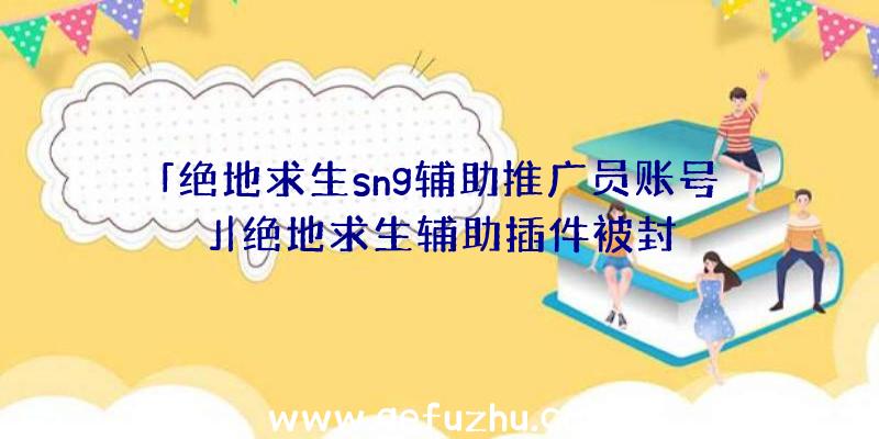 「绝地求生sng辅助推广员账号」|绝地求生辅助插件被封